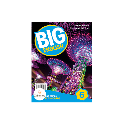 Big English 6 2nd Flashcards
